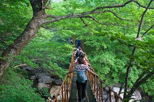  지리산 청년 구국기도회