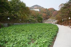  "영원한 언약 속의 신비롭고 오묘한 섭리" 출판감사예배 둘째날 둘러보기