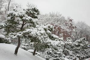  교회 설경