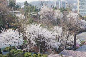  교회 둘러보기 (평강의 봄)