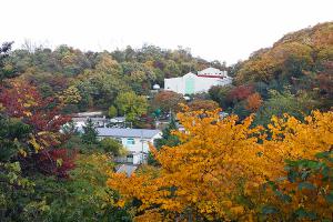  주일 교회 둘러보기
