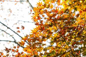  주일 교회 둘러보기