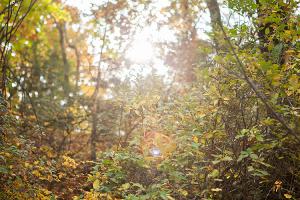  주일 교회 둘러보기