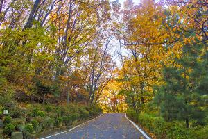  교회 둘러보기 (평강의 가을)