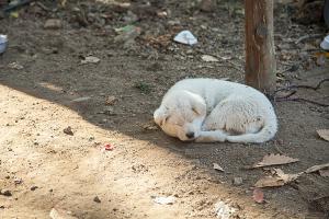  교회 둘러보기 (평강의 가을)