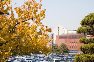  주일 교회 둘러보기(추수감사절)