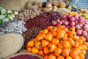  주일 교회 둘러보기(추수감사절)