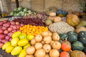  주일 교회 둘러보기(추수감사절)