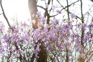  주일 교회 둘러보기