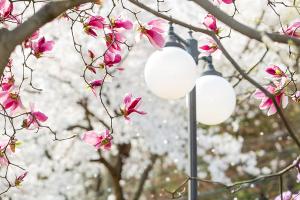  교회 둘러보기(평강의 봄)