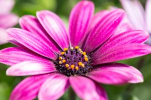  교회 둘러보기(평강의 봄)