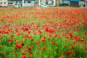  청년1부(헵시바선교회) 구례 노고단교회 특별예배