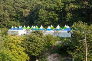  하계대성회 넷째날 오후(구속사강의10, 둘러보기)