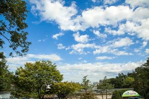  주일 교회 둘러보기