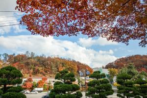  교회 둘러보기 (평강의 가을)