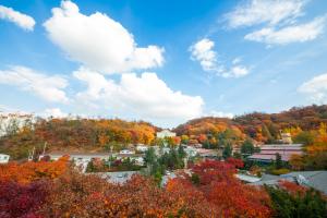  교회 둘러보기 (평강의 가을)