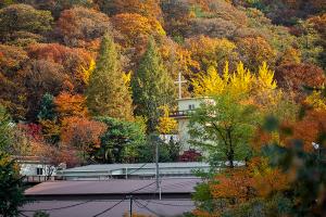  교회 둘러보기 (평강의 가을)