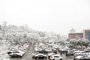  주일 교회 둘러보기