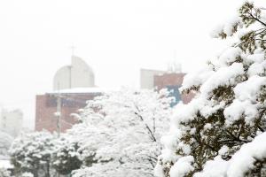  주일 교회 둘러보기