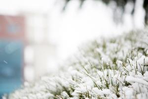  주일 교회 둘러보기