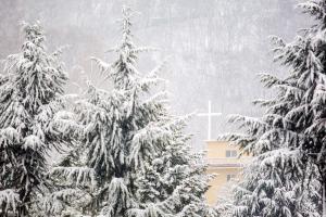  주일 교회 둘러보기