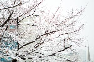  주일 교회 둘러보기