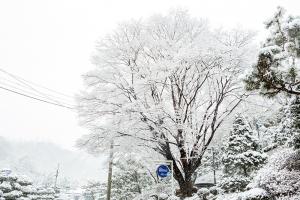  주일 교회 둘러보기