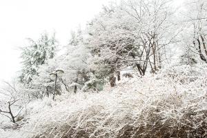  주일 교회 둘러보기