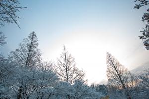  주일 교회 둘러보기