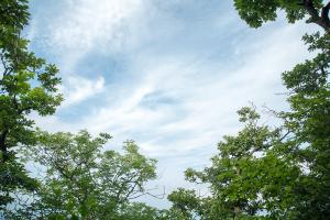  장안산 구국기도회