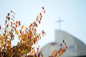  교회 둘러보기 (평강의 가을)