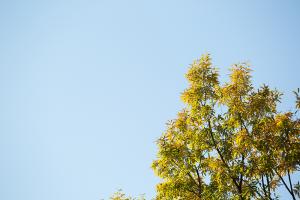  교회 둘러보기 (평강의 가을)