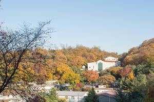  교회 둘러보기 (평강의 가을)