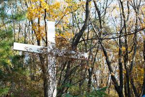  교회 둘러보기 (평강의 가을)