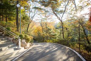  교회 둘러보기 (평강의 가을)