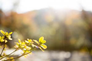  교회 둘러보기 (평강의 가을)