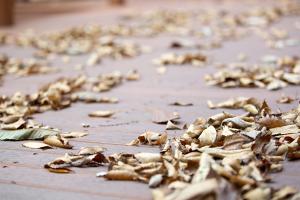  교회 둘러보기 (평강의 가을)