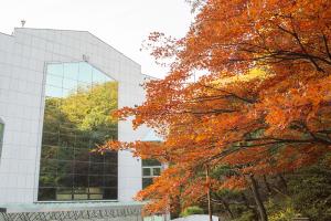  교회 둘러보기 (평강의 가을)