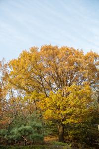  교회 둘러보기 (평강의 가을)