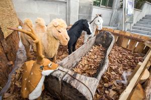  평강가족 성탄축제