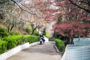  교회 둘러보기(평강의 봄)
