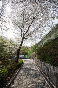  교회 둘러보기(평강의 봄)