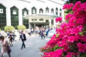  주일 둘러보기(평강의가게)