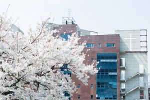  교회 둘러보기(평강의 봄)