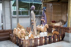  주일 교회 둘러보기