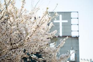  교회 둘러보기(평강의 봄)
