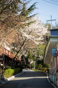  교회 둘러보기(평강의 봄)