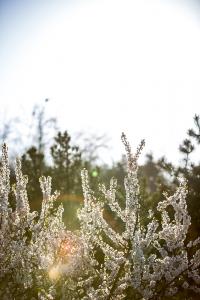  교회 둘러보기(평강의 봄)
