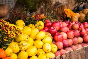  주일 교회 둘러보기