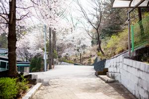   교회 둘러보기(평강의 봄)